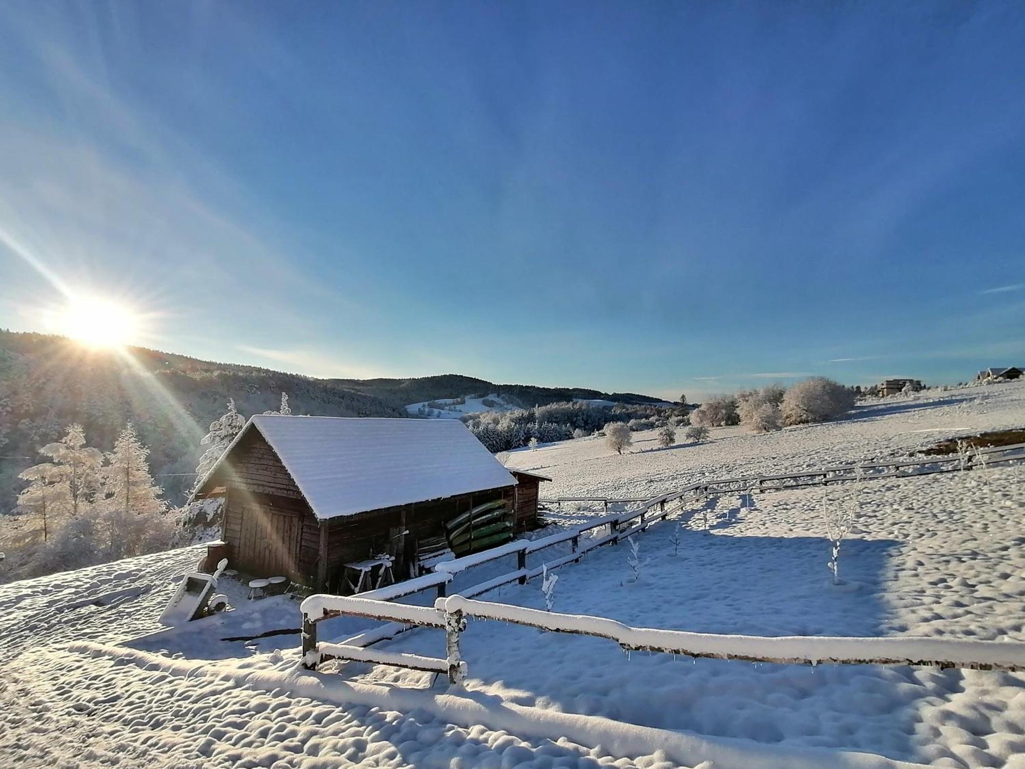 Chata W Bieszczadzie Apartamenty I Domki Z Basenem Bieszczady Polańczyk Buitenkant foto