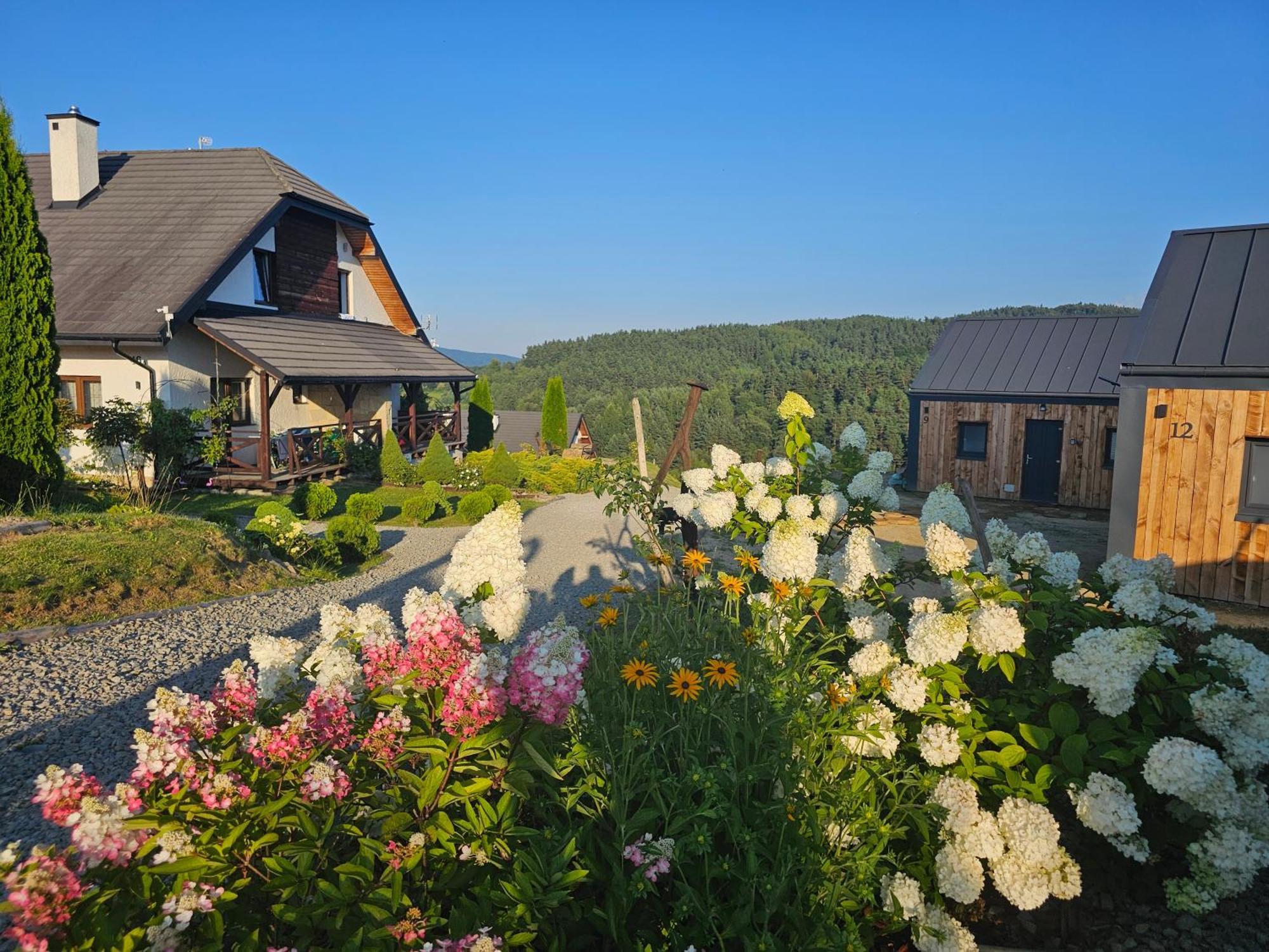 Chata W Bieszczadzie Apartamenty I Domki Z Basenem Bieszczady Polańczyk Buitenkant foto